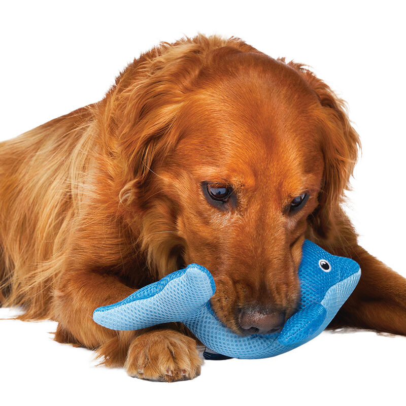 Canada Pooch, Freeze and Chill Cooling Pal Toys Blue Dolphin image number null